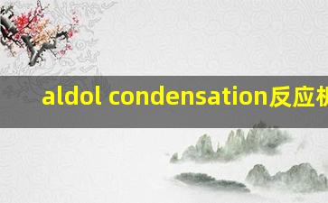 aldol condensation反应机理